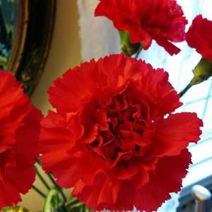 Meet your Posher, Li